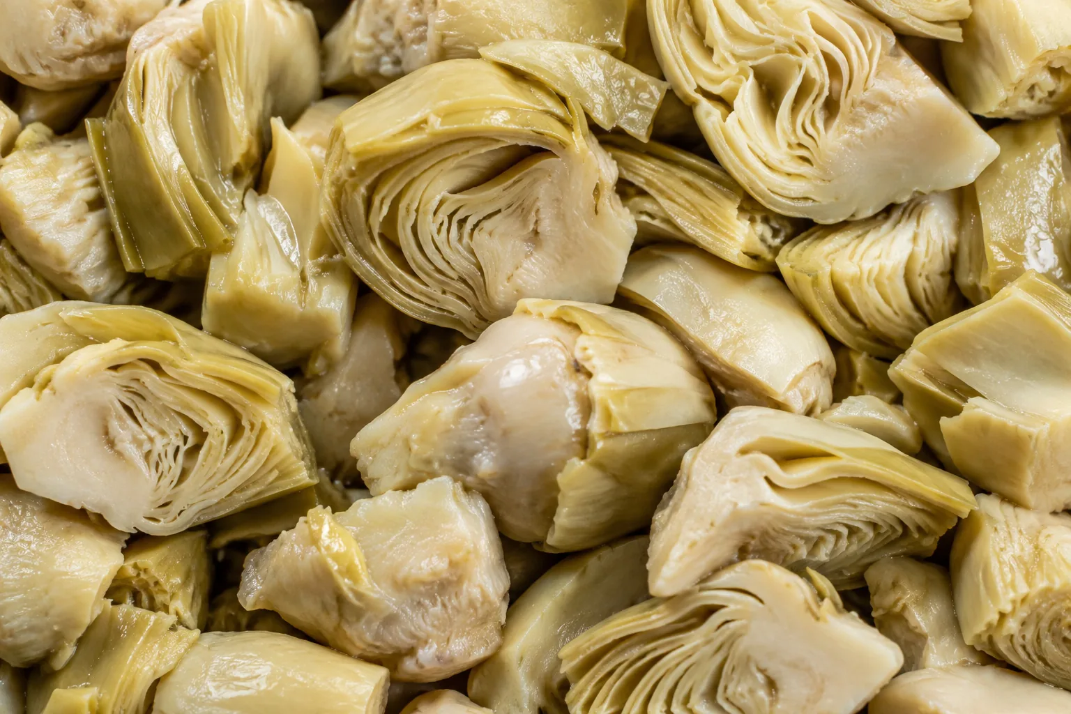 Carciofi · Textura suroviny
