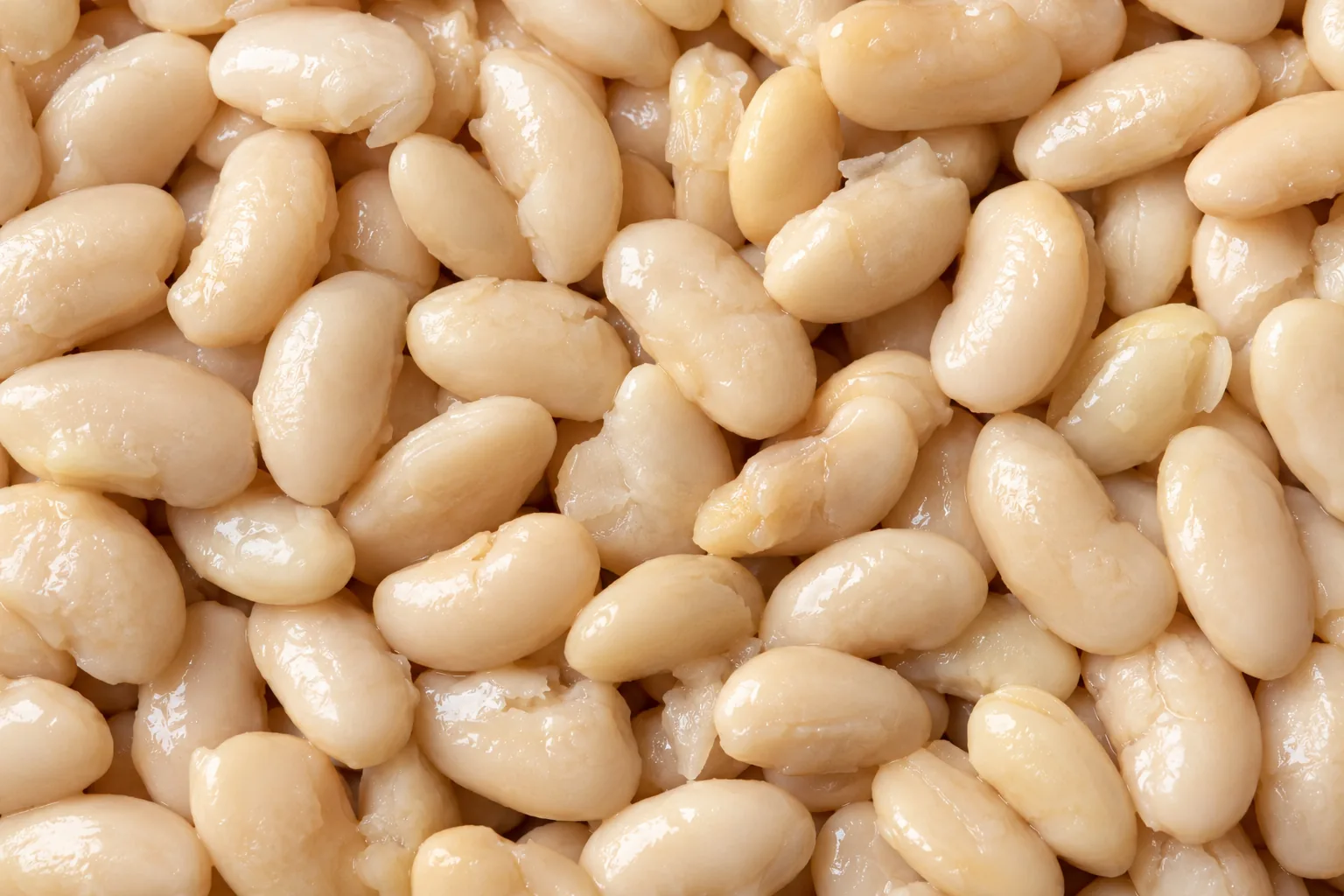 Fagioli Bianchi · Textura suroviny