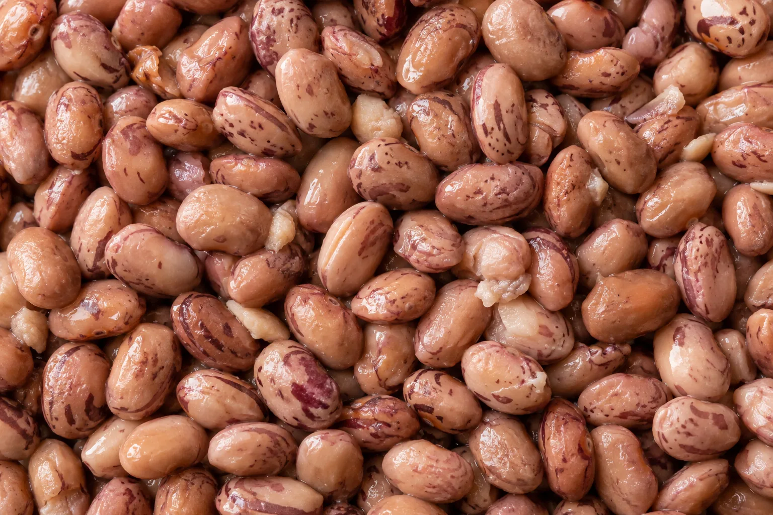 Fagioli Borlotti · Textura suroviny