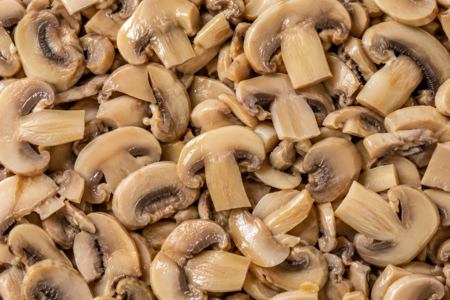 Funghi Champignon Affettati · Textura suroviny